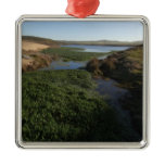 Abbotts Lagoon I at Point Reyes National Seashore Metal Ornament