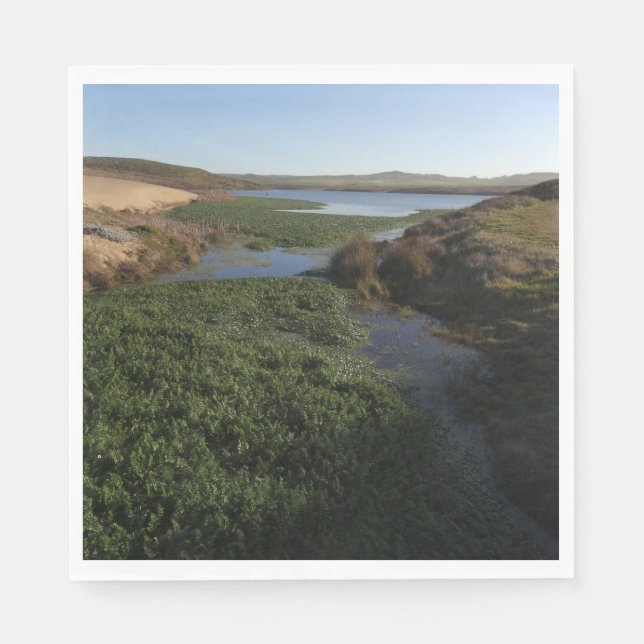 Abbotts Lagoon I at Point Reyes National Seashore Napkins (Front)