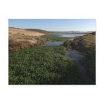 Abbotts Lagoon I at Point Reyes National Seashore Postcard