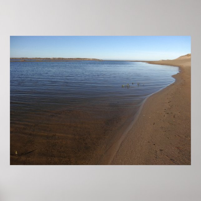 Abbotts Lagoon II at Point Reyes National Seashore Poster (Front)
