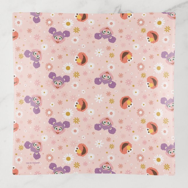 Abby Cadabby & Elmo | Woodland Pattern Trinket Tray (Front)