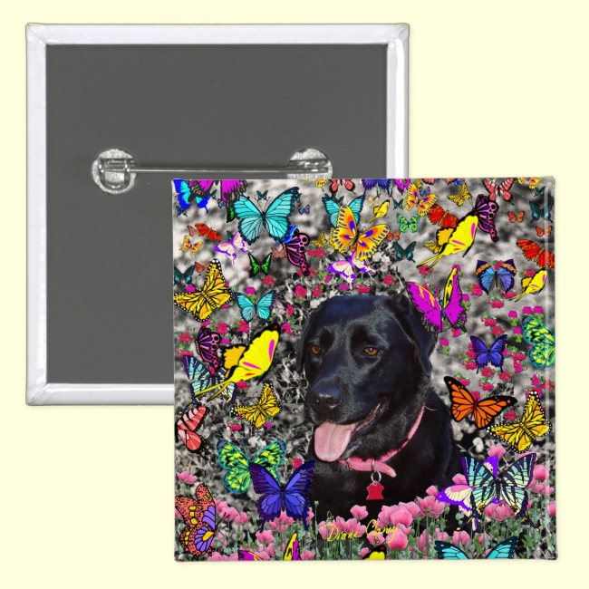 Abby in Butterflies - Black Lab Dog Buttons