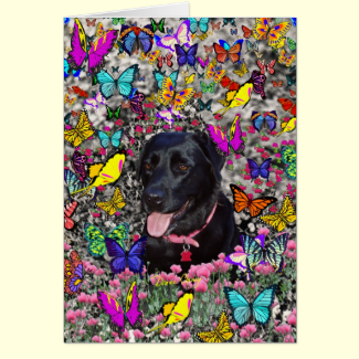 Abby in Butterflies - Black Lab Dog Card