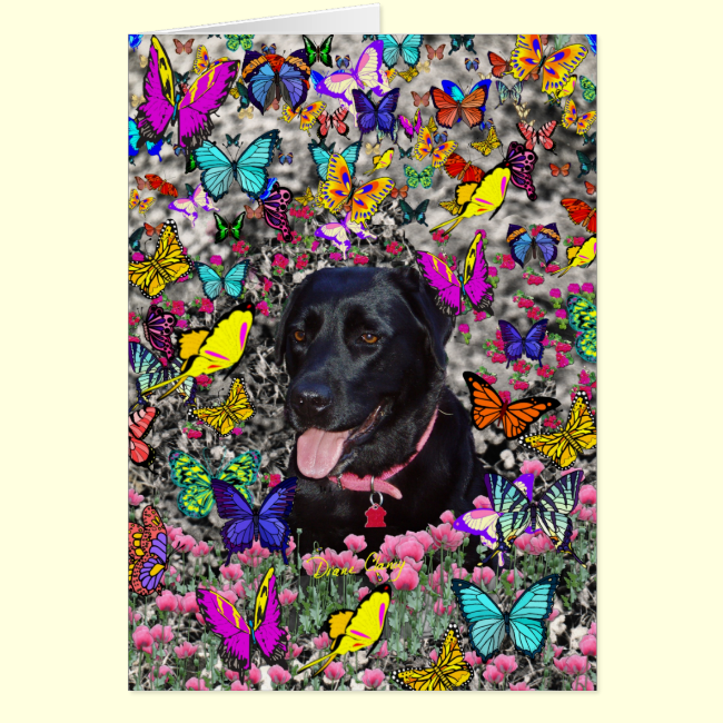 Abby in Butterflies - Black Lab Dog Cards