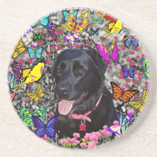 Abby in Butterflies - Black Lab Dog Drink Coaster