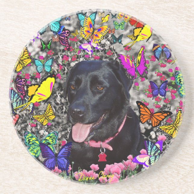 Abby in Butterflies - Black Lab Dog Drink Coaster (Front)