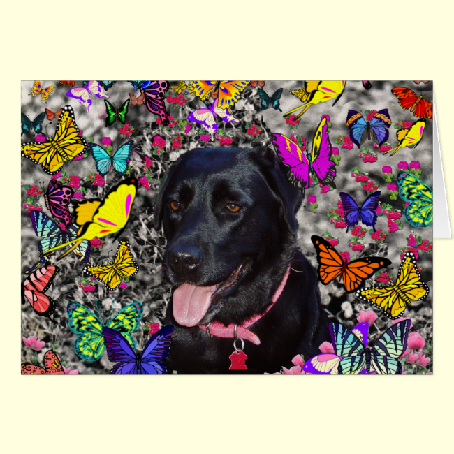 Abby in Butterflies - Black Lab Dog Greeting Cards