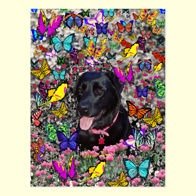 Abby in Butterflies - Black Lab Dog Post Cards