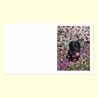 Abby in Flowers  Black Lab Dog Business Card Template