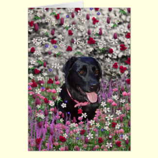 Abby in Flowers  Black Lab Dog Card