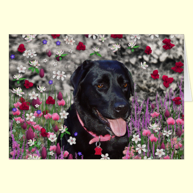Abby in Flowers  Black Lab Dog Greeting Card