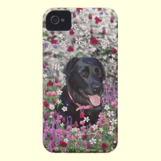 Abby in Flowers  Black Lab Dog iPhone 4 Case