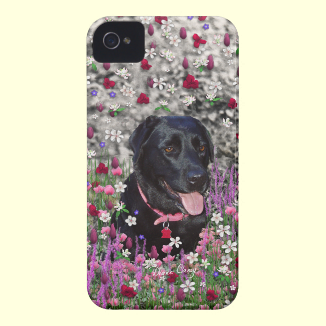 Abby in Flowers – Black Lab Dog iPhone 4 Case