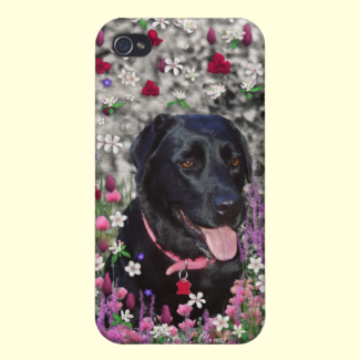 Abby in Flowers  Black Lab Dog iPhone 4 Cases