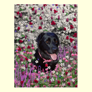 Abby in Flowers – Black Lab Dog Postcards
