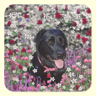 Abby in Flowers – Black Lab Dog Sticker
