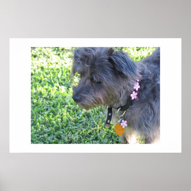 Abby Mae Poster (Front)