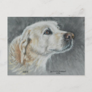 Abby postcard