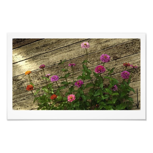 Abby's Flowers Photo Print (Front)