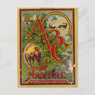 ABC of Nature Postcard
