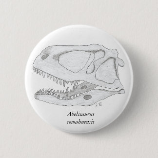 Abelisaurus comahuensis skull button