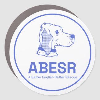 ABESR Logo Magnet