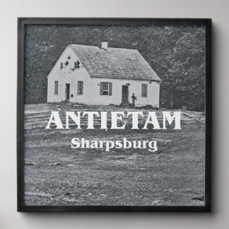 ABH Antietam Peel And Stick Photo Tile