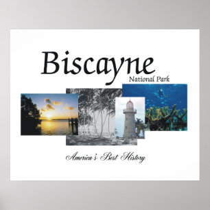 ABH Biscayne Poster
