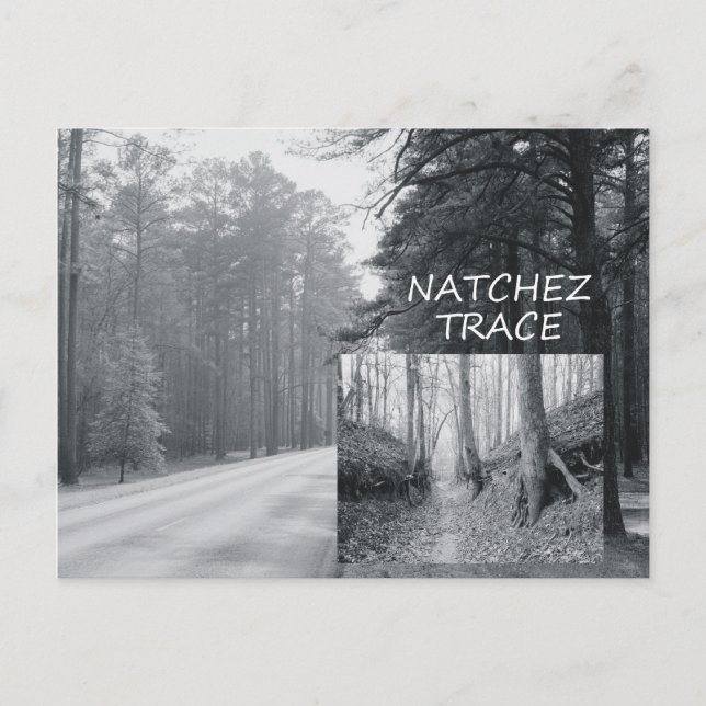 ABH Natchez Trace Postcard (Front)