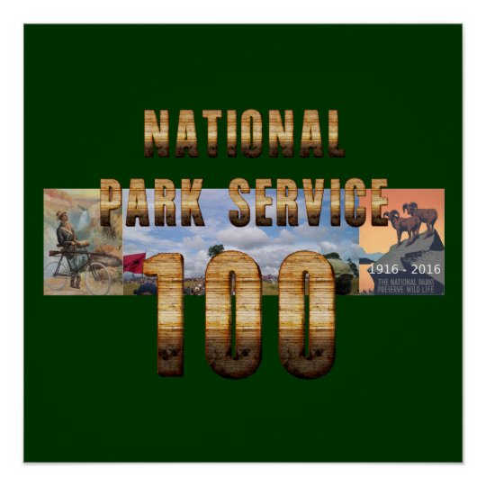 NPS 100th Souvenirs