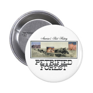 Petrified Forest T-Shirts and Souvenirs