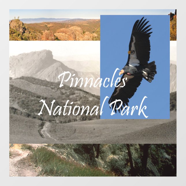 ABH Pinnacles National Park Floor Decals (Front)