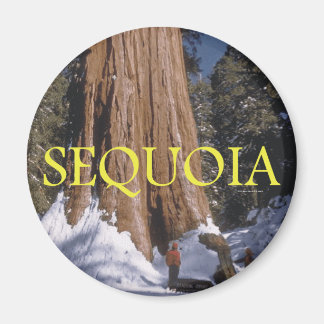 ABH Sequoia Magnet