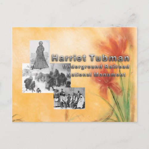 ABH Tubman NHP Postcard