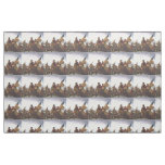 ABH Washington's Crossing Fabric