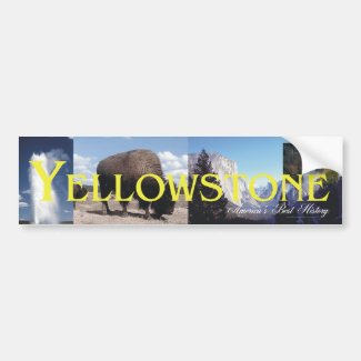 ABH Yellowstone Bumper Sticker