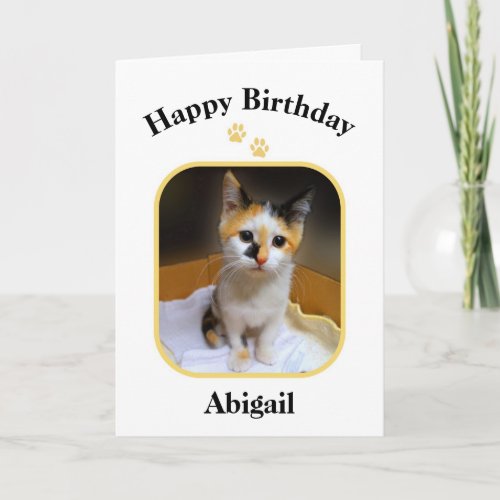 Abigail Calico Kitten Happy Birthday Card