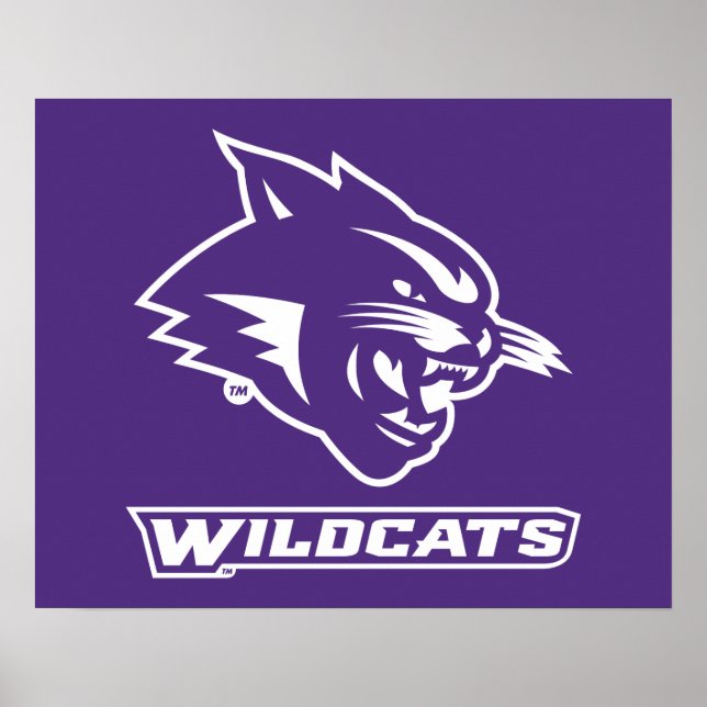 Abilene Christian Wildcats Vintage Poster (Front)