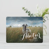 Abitur Karten (Standing Front)