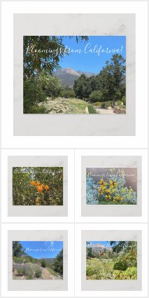 aBloomingCalifornia: Santa Barbara Botanic Garden