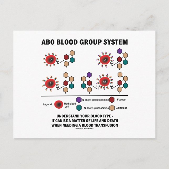 ABO Blood Group System Understand Blood Type Postcard (Front)