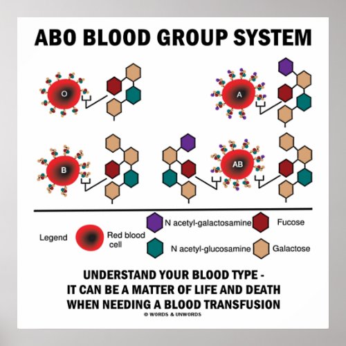 ABO Blood Group System Understand Blood Type Poster
