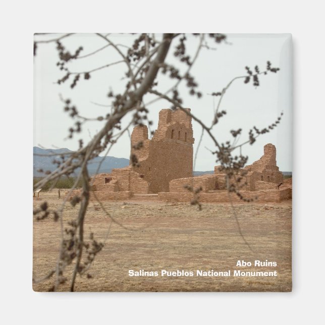 Abo RuinsSalinas Pueblos National Mon... Magnet (Front)