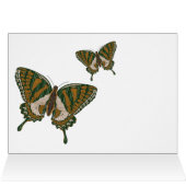 Aboriginal Swallowtail Card (Inside Horizontal (Top))
