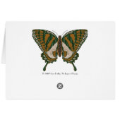 Aboriginal Swallowtail Card (Back Horizontal)