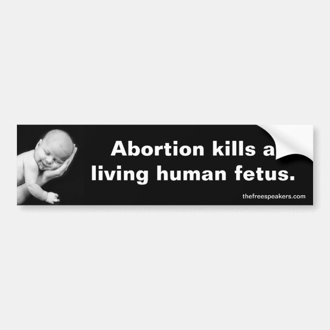 Abortion kills a living human fetus. bumper sticker (Front)