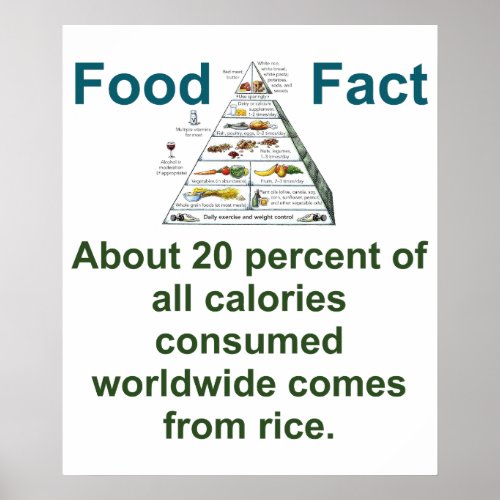 About 20 Percent Of Al Calories Consumed _ Food Fa Poster