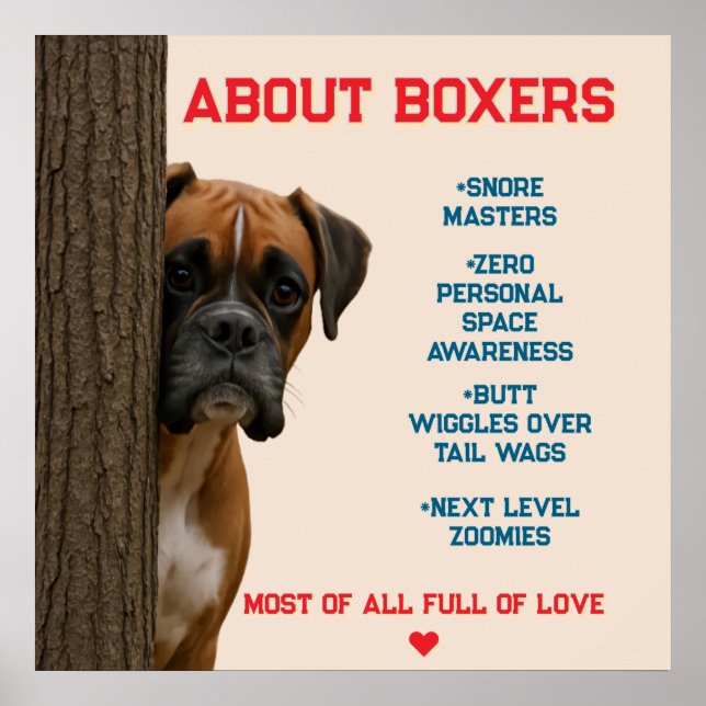 About Boxers Funny & Loving Boxer Dog Quote Design Poster (Front)