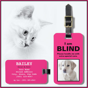 Deaf cat collar new arrivals