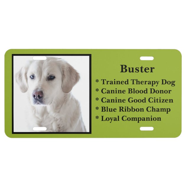 how do i get my dog licensed